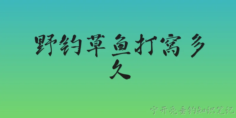 野钓草鱼打窝多久