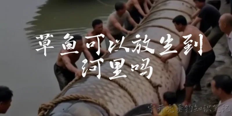 草鱼可以放生到河里吗:草鱼可以放生到河里吗?