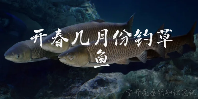 开春几月份钓草鱼:开春几月份钓草鱼最合适?