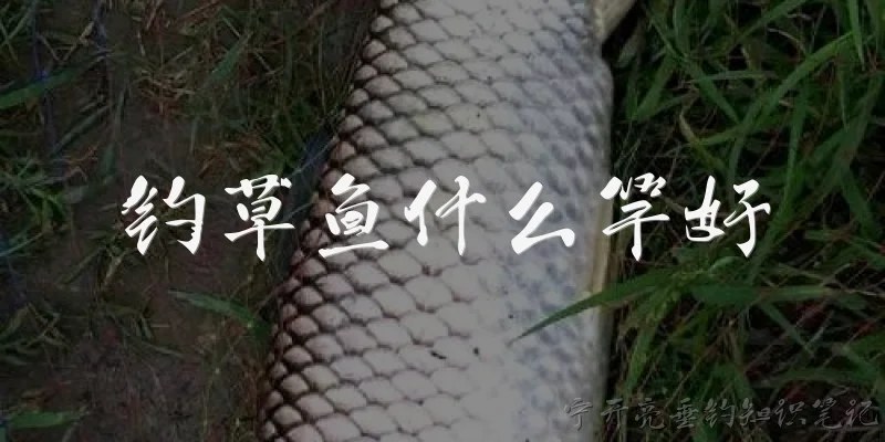 钓草鱼什么竿好:钓草鱼用什么竿比较好？