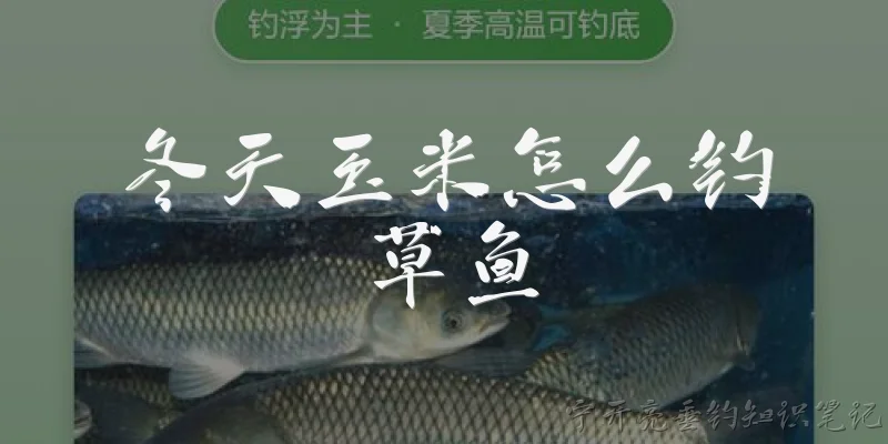冬天玉米怎么钓草鱼:冬天玉米怎么钓草鱼？