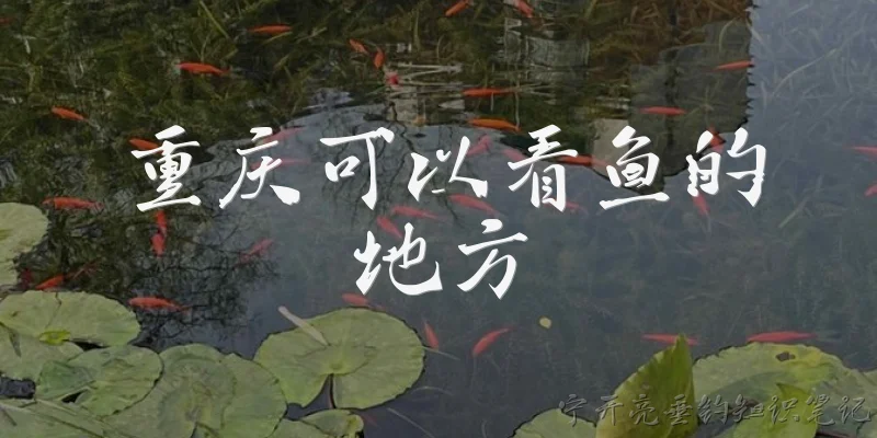 重庆可以看鱼的地方:重庆有哪些适合看鱼的好去处？