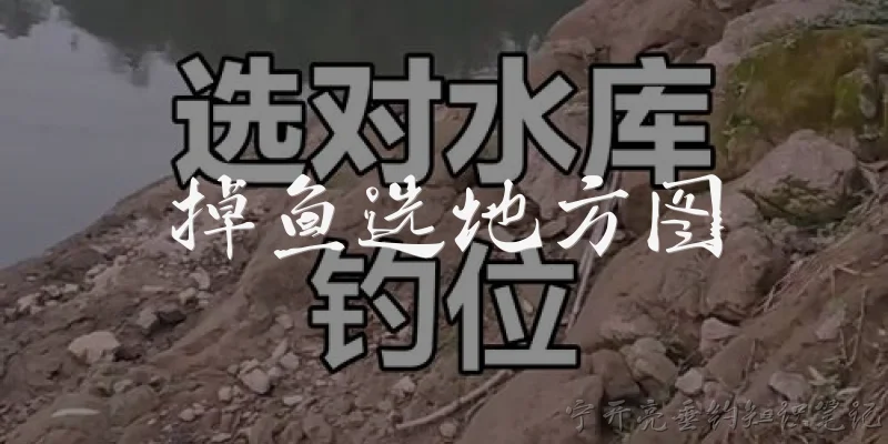 掉鱼选地方图:钓鱼选地方需要考虑哪些因素？