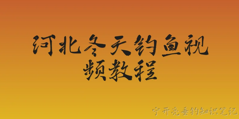 河北冬天钓鱼视频教程