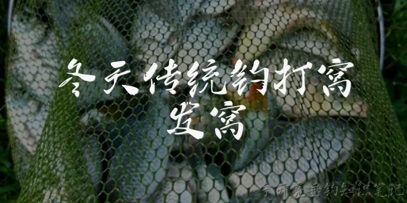 冬天传统钓打窝发窝:冬天传统钓打窝后多久才能发窝?