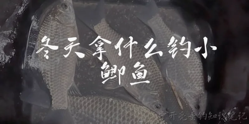 冬天拿什么钓小鲫鱼:冬天钓小鲫鱼用什么饵料最好？