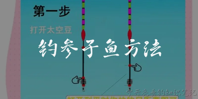 钓参子鱼方法:钓参子鱼需要选择什么样的钓位？