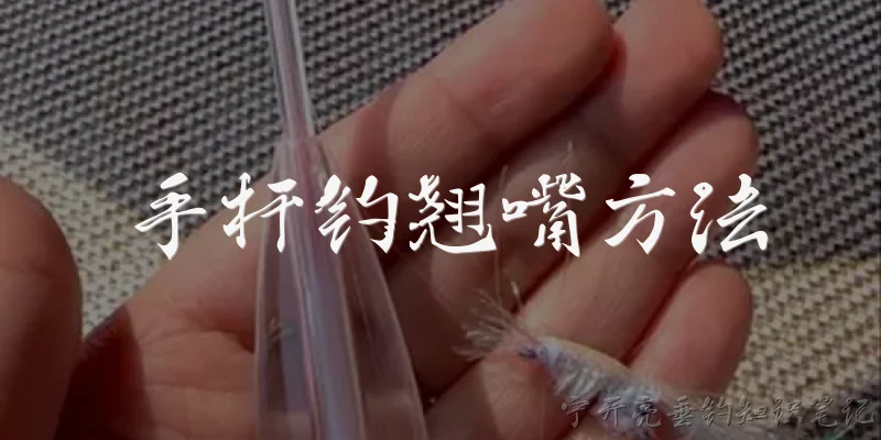 手杆钓翘嘴方法:2026年手杆钓翘嘴的钓点选择有什么新要求？