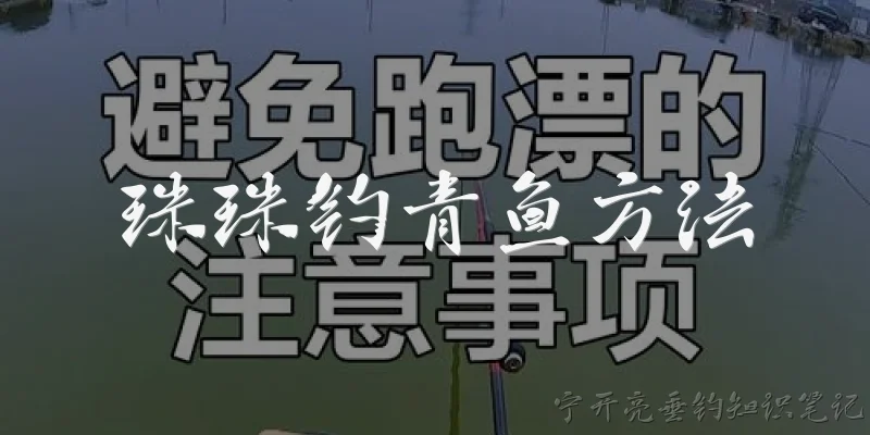 珠珠钓青鱼方法:珠珠钓青鱼的方法中，珠珠应该如何选择和安装？