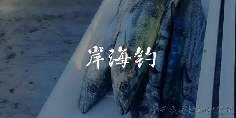 岸海钓