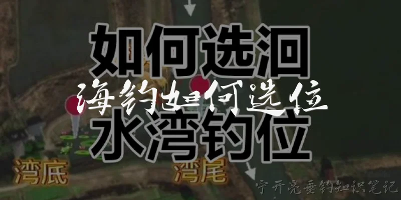 海钓如何选位:2026年海钓选位，有哪些基于智能潮汐与声呐的新技巧？