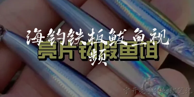 海钓铁板鲅鱼视频:海钓铁板钓鲅鱼用什么装备最合适？