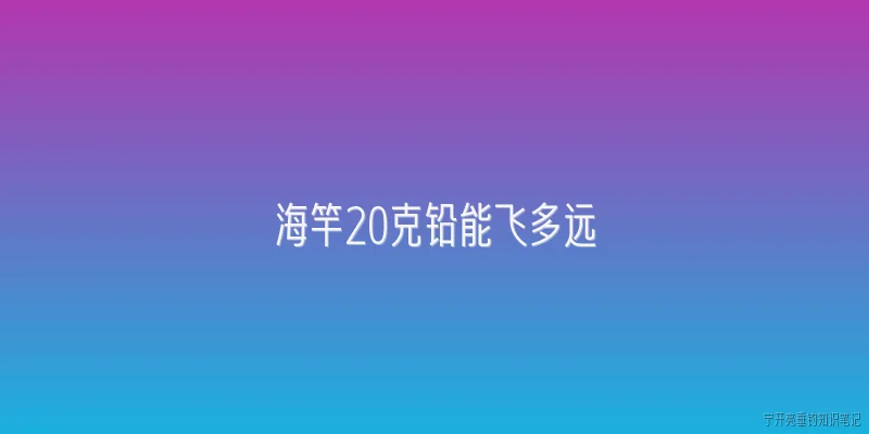 海竿20克铅能飞多远