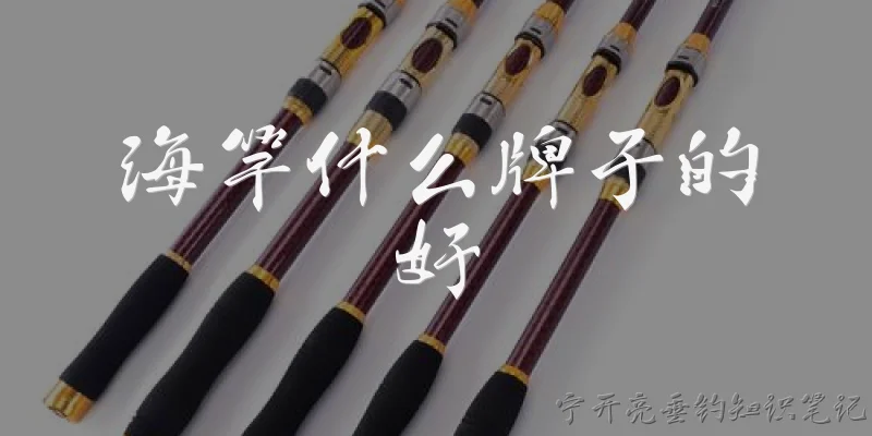 海竿什么牌子的好