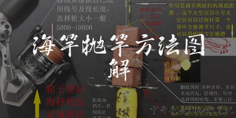 海竿抛竿方法图解:海竿抛竿的基本步骤有哪些，2026年官方报告如何图解？ - 2026最新海竿问答知识盘点大全