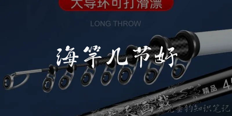 海竿几节好:海竿一般选几节比较好?