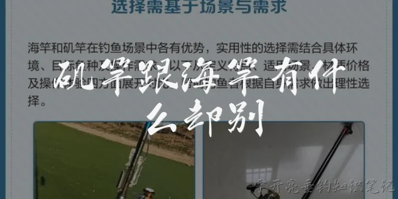 矶竿跟海竿有什么却别:矶竿和海竿的主要区别是什么？