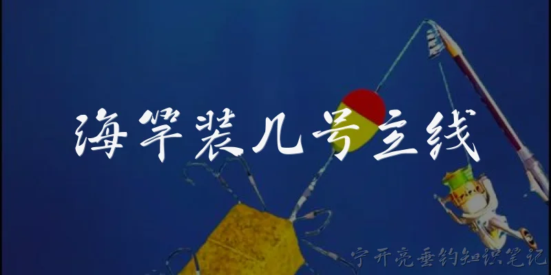 海竿装几号主线:海竿一般装几号主线比较合适？