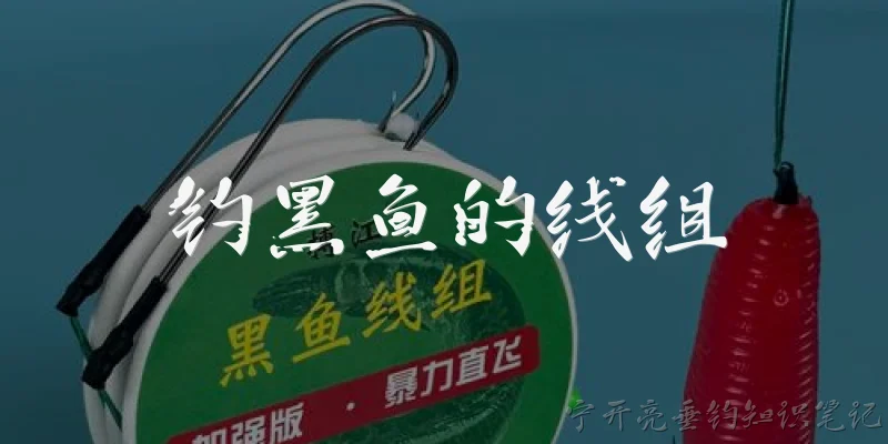钓黑鱼的线组:钓黑鱼用什么线组最合适？