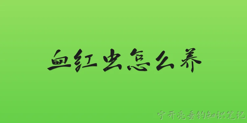 血红虫怎么养