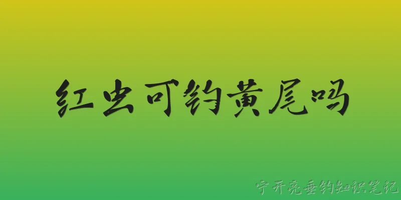 红虫可钓黄尾吗