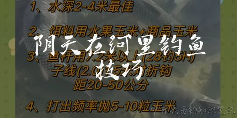 阴天在河里钓鱼技巧:2026年阴天在河里钓鱼有哪些最新技巧？ - 2026最新技巧问答知识盘点大全