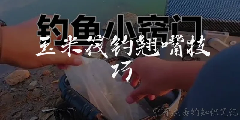 玉米筏钓翘嘴技巧:玉米筏钓翘嘴时如何选择钓点？