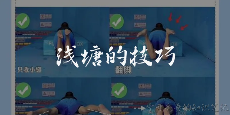 浅塘的技巧:浅塘钓鱼有哪些实用技巧？