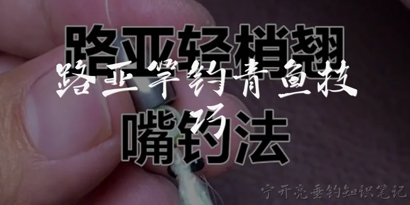 路亚竿钓青鱼技巧:路亚竿钓青鱼时，如何选择适合的竿、轮和线组？