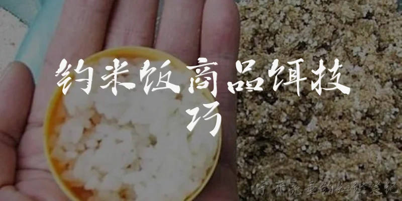 钓米饭商品饵技巧:什么是钓米饭商品饵？它和普通米饭钓鱼有什么区别？