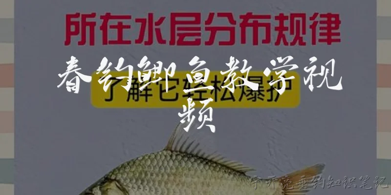春钓鲫鱼教学视频:春钓鲫鱼教学视频中,如何选择钓位和出钓时机?