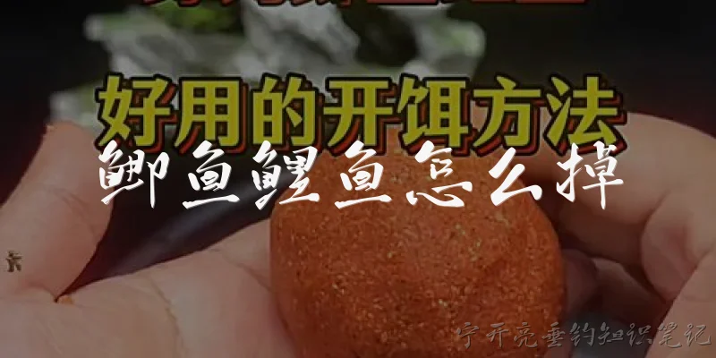 鲫鱼鲤鱼怎么掉:钓鲫鱼时如何调漂才能提高中鱼率？