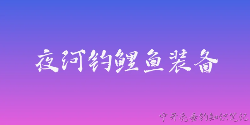 夜河钓鲤鱼装备
