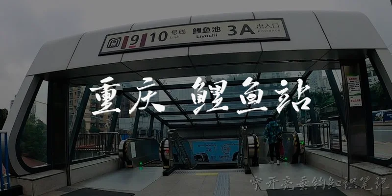 重庆 鲤鱼站:重庆鲤鱼站是什么？