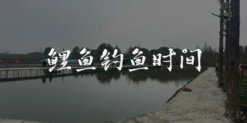 鲤鱼钓鱼时间:鲤鱼在一天中什么时间段最容易上钩？