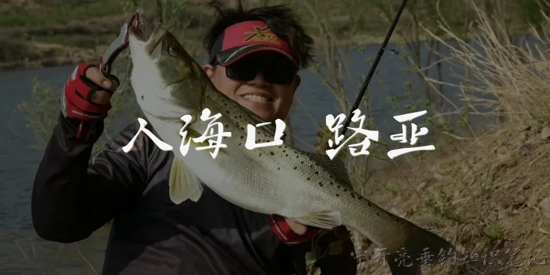 入海口 路亚