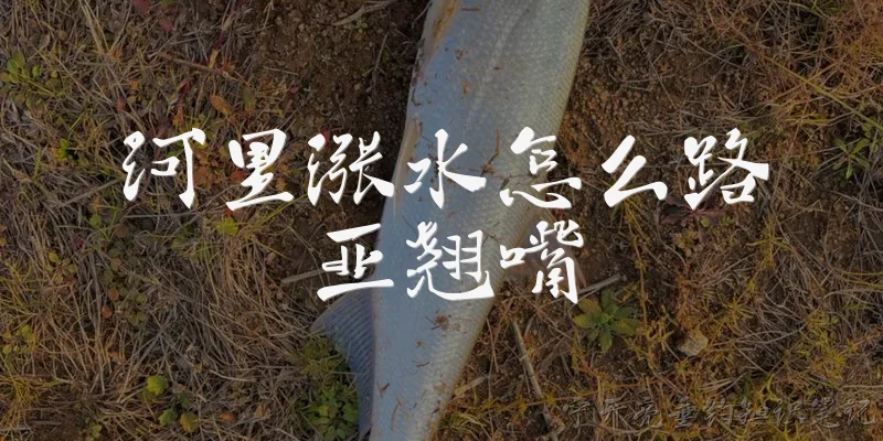 河里涨水怎么路亚翘嘴:河里涨水时，路亚翘嘴应该选择哪些标点？