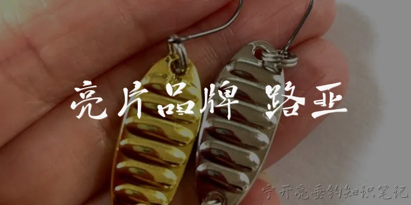 亮片品牌 路亚:亮片品牌在路亚钓鱼中如何选择？