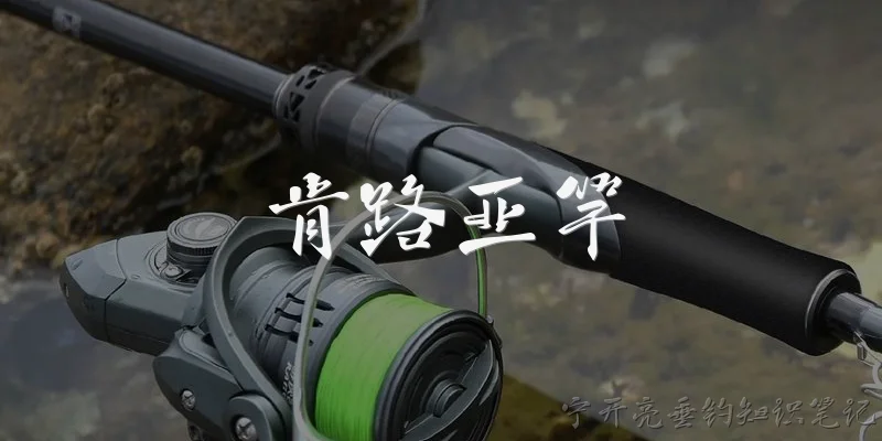 肯路亚竿:肯路亚竿是什么品牌，适合新手使用吗？