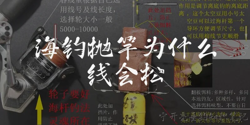 海钓抛竿为什么线会松:海钓抛竿为什么线会松？ - 2026最新抛竿问答知识盘点大全