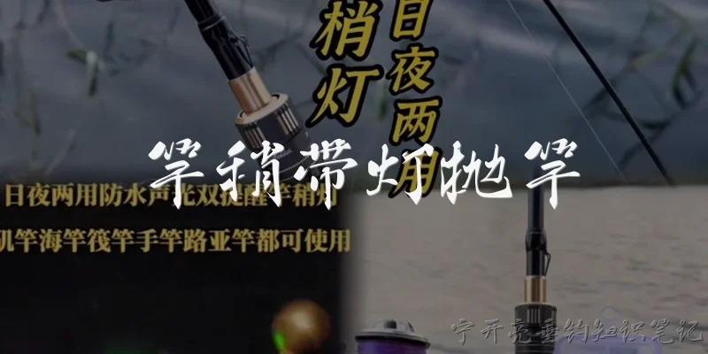 竿稍带灯抛竿:竿稍带灯抛竿是什么？它在2026年有哪些技术升级？ - 2026最新抛竿问答知识盘点大全