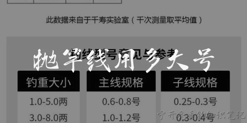 抛竿线用多大号:抛竿线用多大号？2026年官方报告推荐的标准是什么？