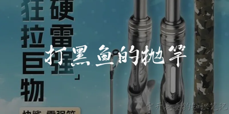 打黑鱼的抛竿:打黑鱼用什么抛竿最合适？