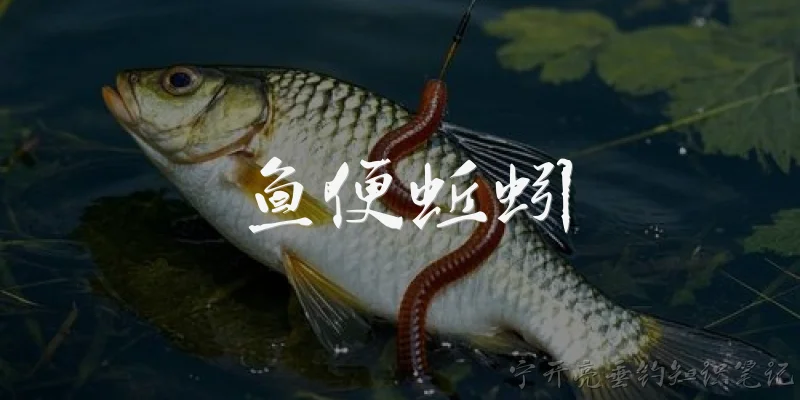 鱼便蚯蚓:鱼便蚯蚓是什么？它在生态循环中有什么作用？ - 2026最新蚯蚓问答知识盘点大全