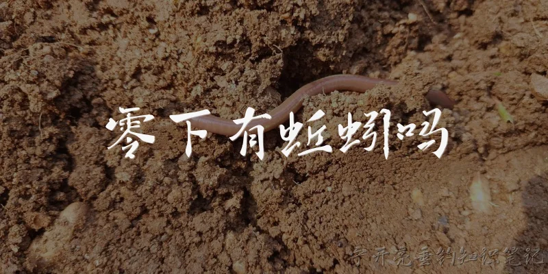 零下有蚯蚓吗:零度以下的土壤中还有蚯蚓吗？ - 2026最新蚯蚓问答知识盘点大全