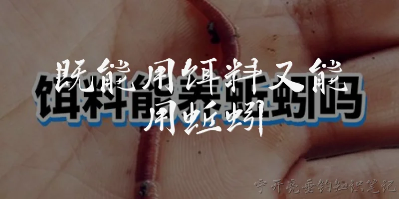 既能用饵料又能用蚯蚓:2026年，既能用饵料又能用蚯蚓的钓鱼方法有哪些新趋势？ - 2026最新蚯蚓问答知识盘点大全