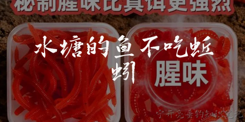 水塘的鱼不吃蚯蚓:水塘的鱼不吃蚯蚓是什么原因？