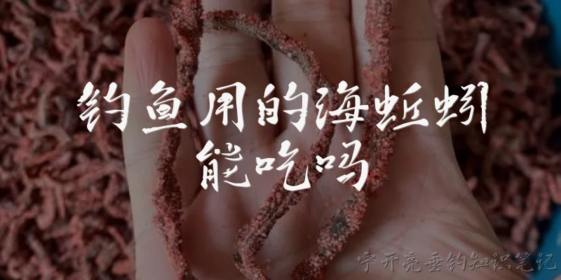 钓鱼用的海蚯蚓能吃吗:钓鱼用的海蚯蚓人能直接吃吗？