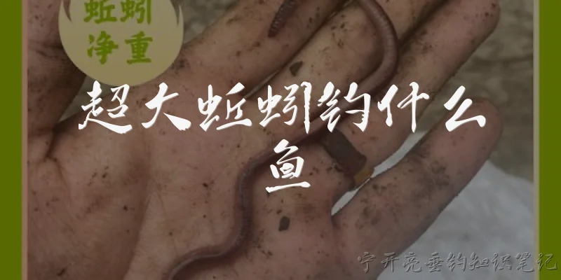超大蚯蚓钓什么鱼:超大蚯蚓适合钓什么鱼？