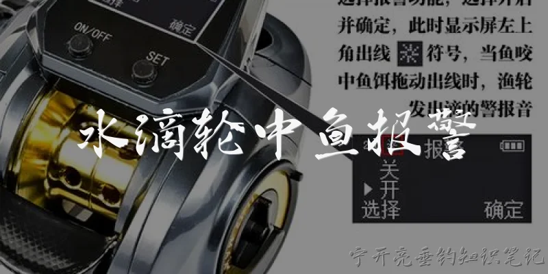 水滴轮中鱼报警:水滴轮中鱼报警是什么功能？